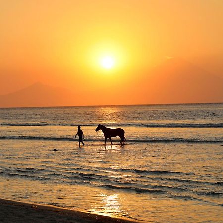 Villa Sunset Beach Gili Trawangan Exteriér fotografie